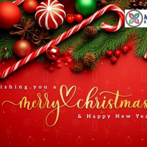Merry Christmas from Metro Town Merry Christmas from Metro Town